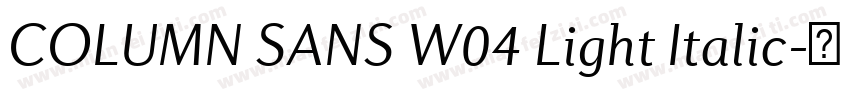 COLUMN SANS W04 Light Italic字体转换